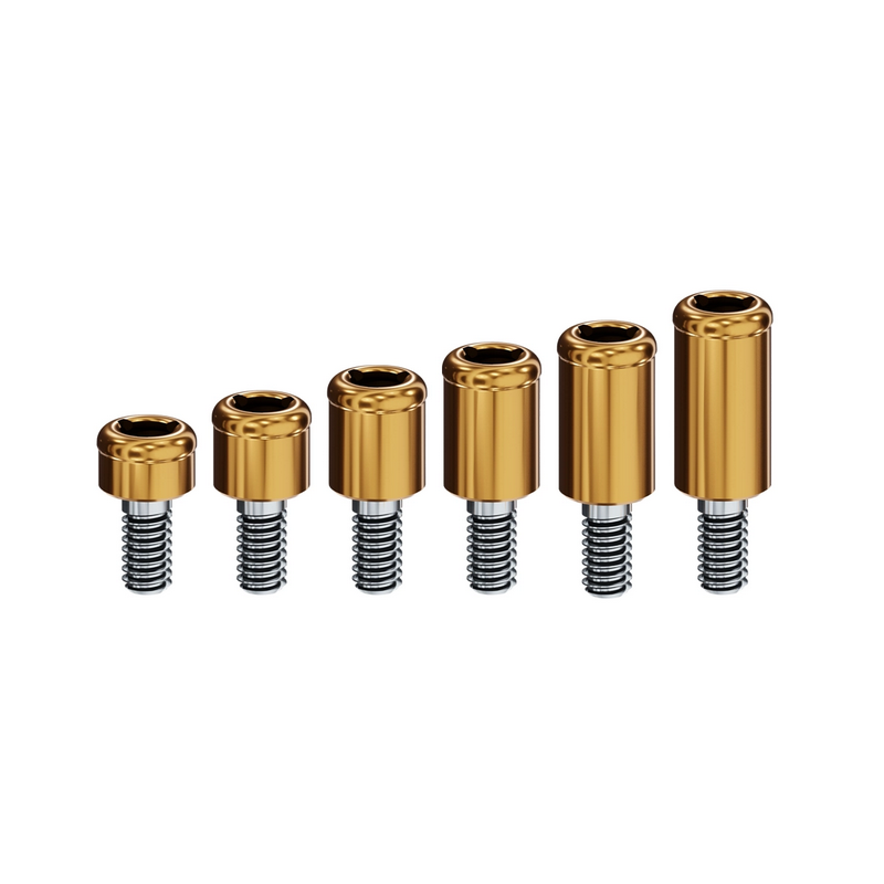 BIOMET 3I (esterno)