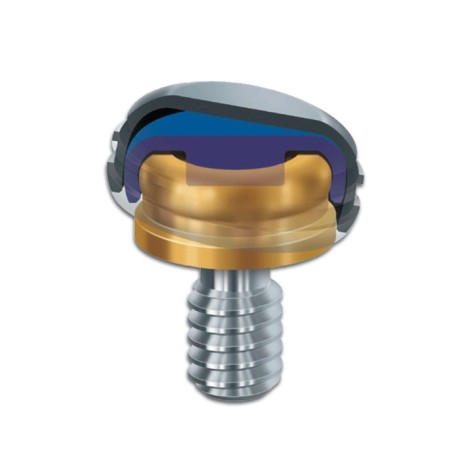 ZEST DENTAL - KIT PROTESICO